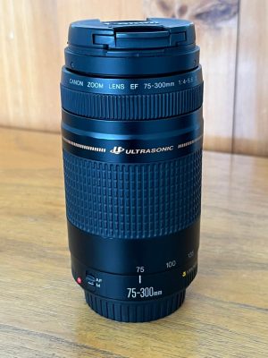Canon EF 75-300mm F/4-5.6 II USM