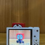 Sony Cyber-shot DSC-WX350 Digital Camera